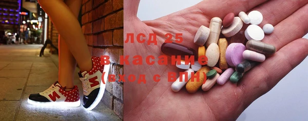твердый Козельск