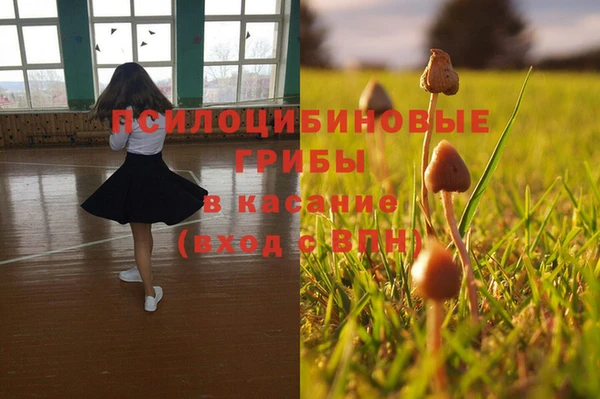 2c-b Кодинск