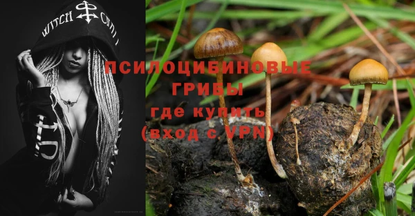 2c-b Кодинск