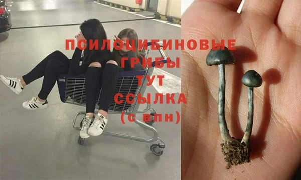 твердый Козельск