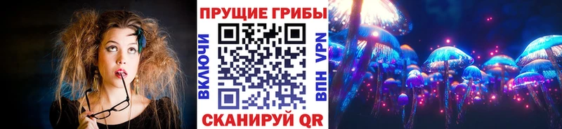 Купить закладки  Михайловск  Галлюциногенные грибы Psilocybe 